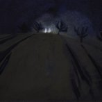 V noci na silnici, olej na plátně, karton, 30 × 25 cm, 2009